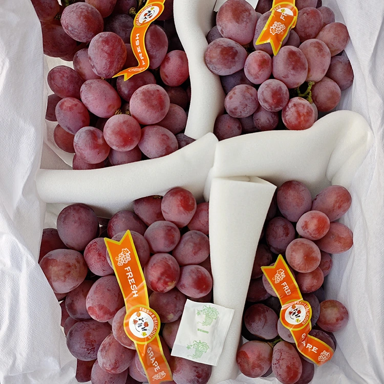 Selected Farm Fresh Red Globe Grapes