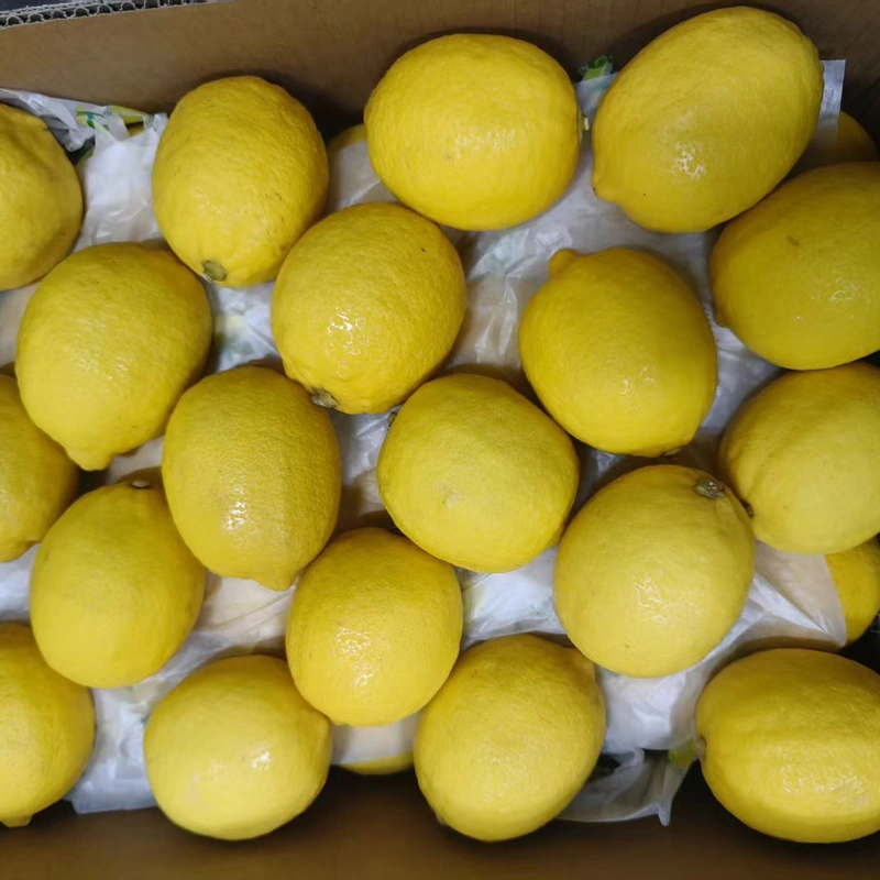Fresh Yellow Lemon Hand Picked Lemon