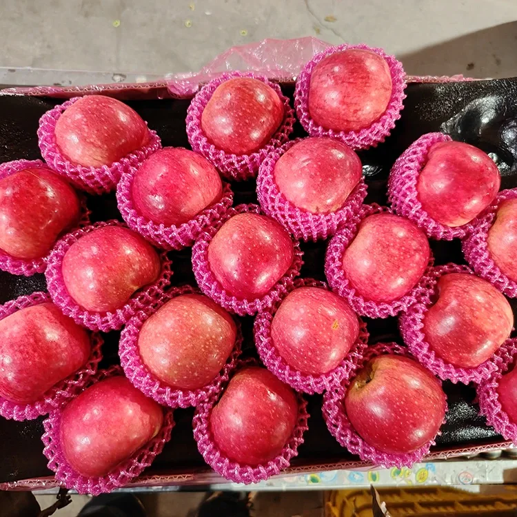 സുപ്പീരിയർ ഫ്രഷ് ജിഗുവാൻ ആപ്പിൾ